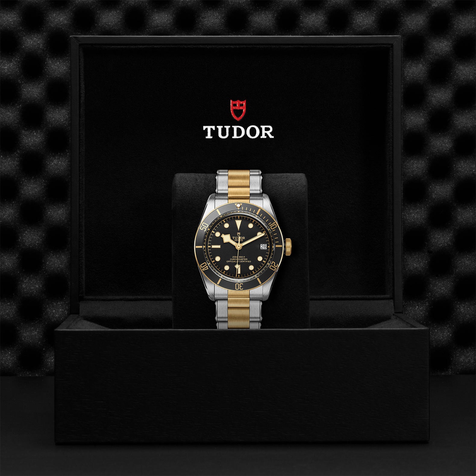 TUDOR BLACK BAY S&G