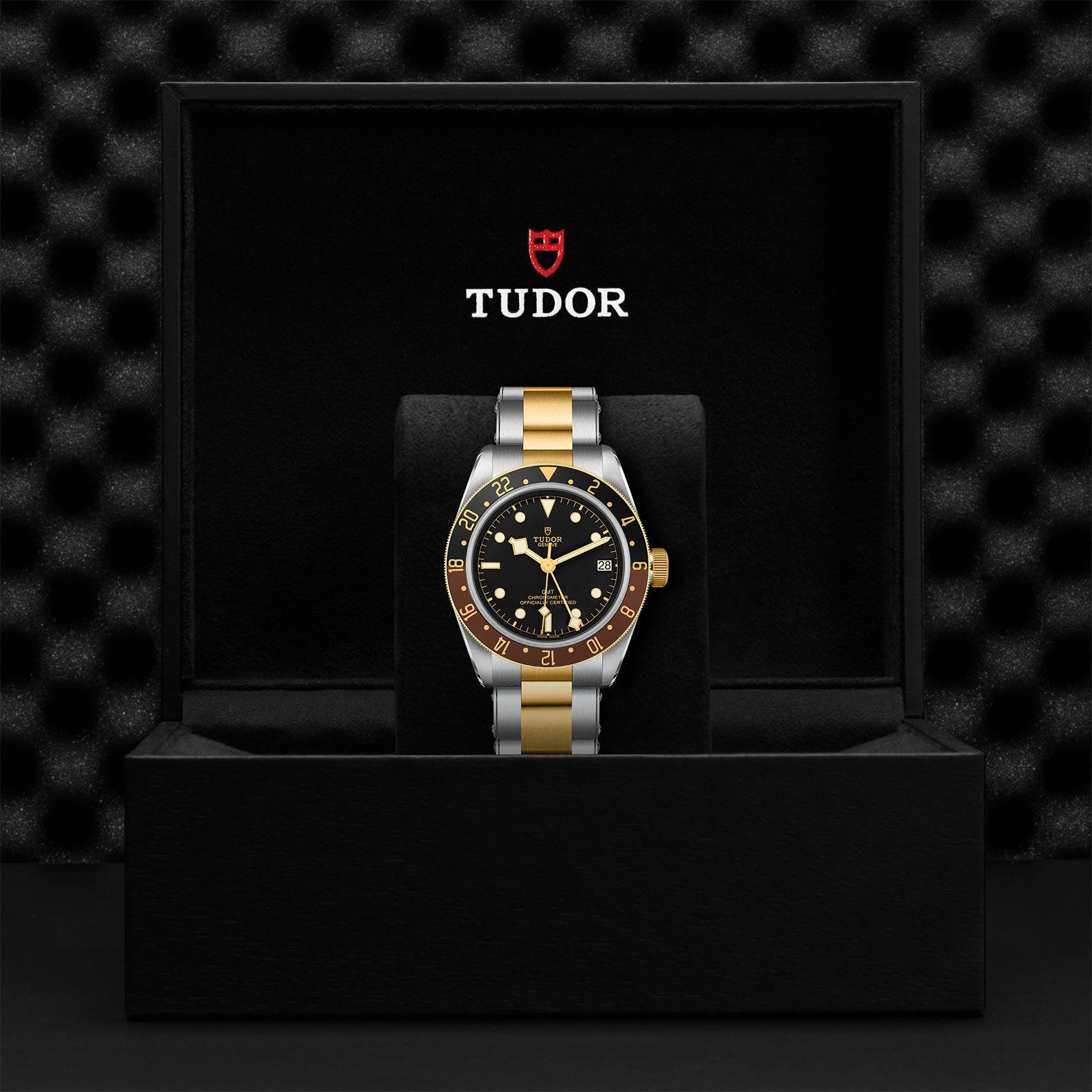 TUDOR BLACK BAY GMT S&G