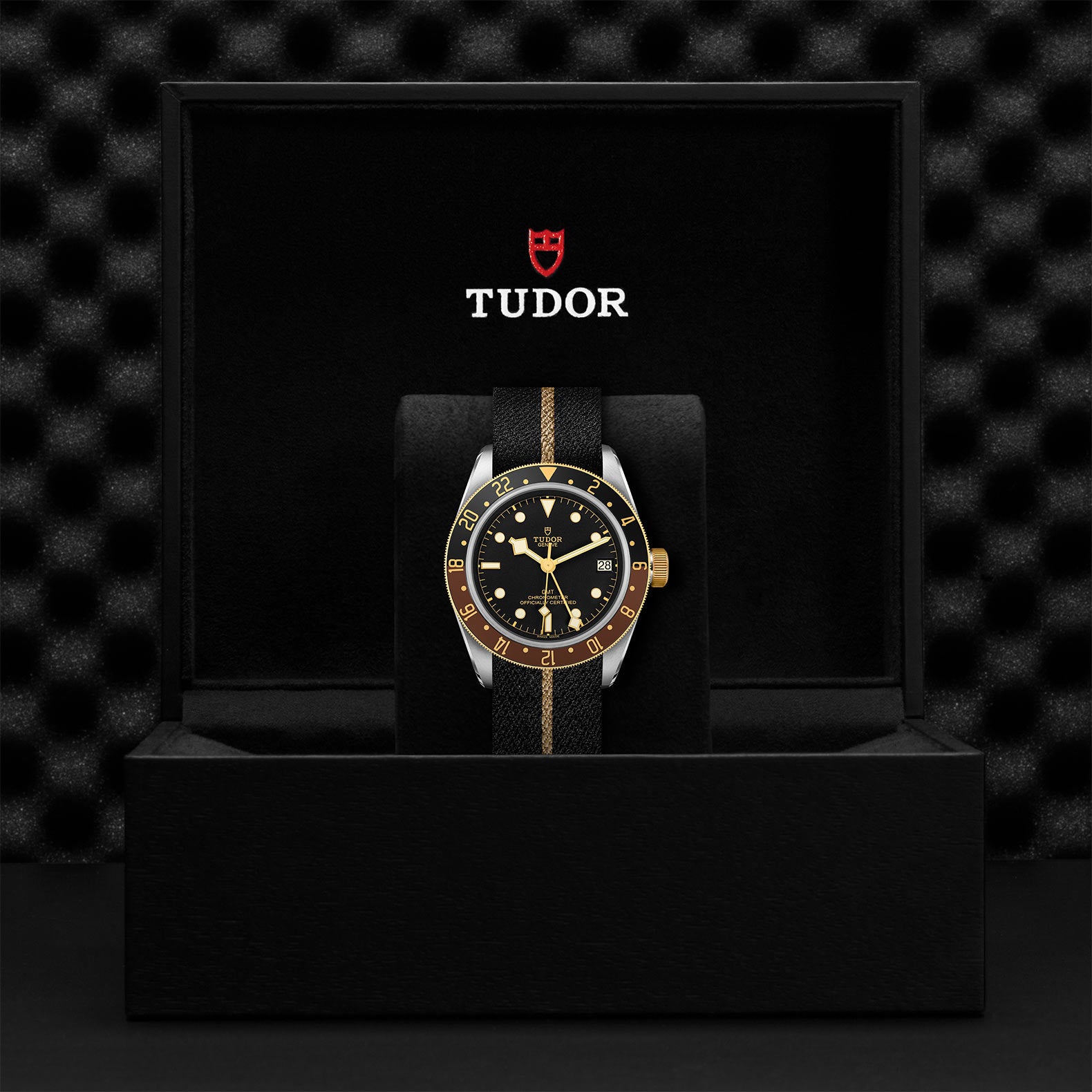 TUDOR BLACK BAY GMT S&G