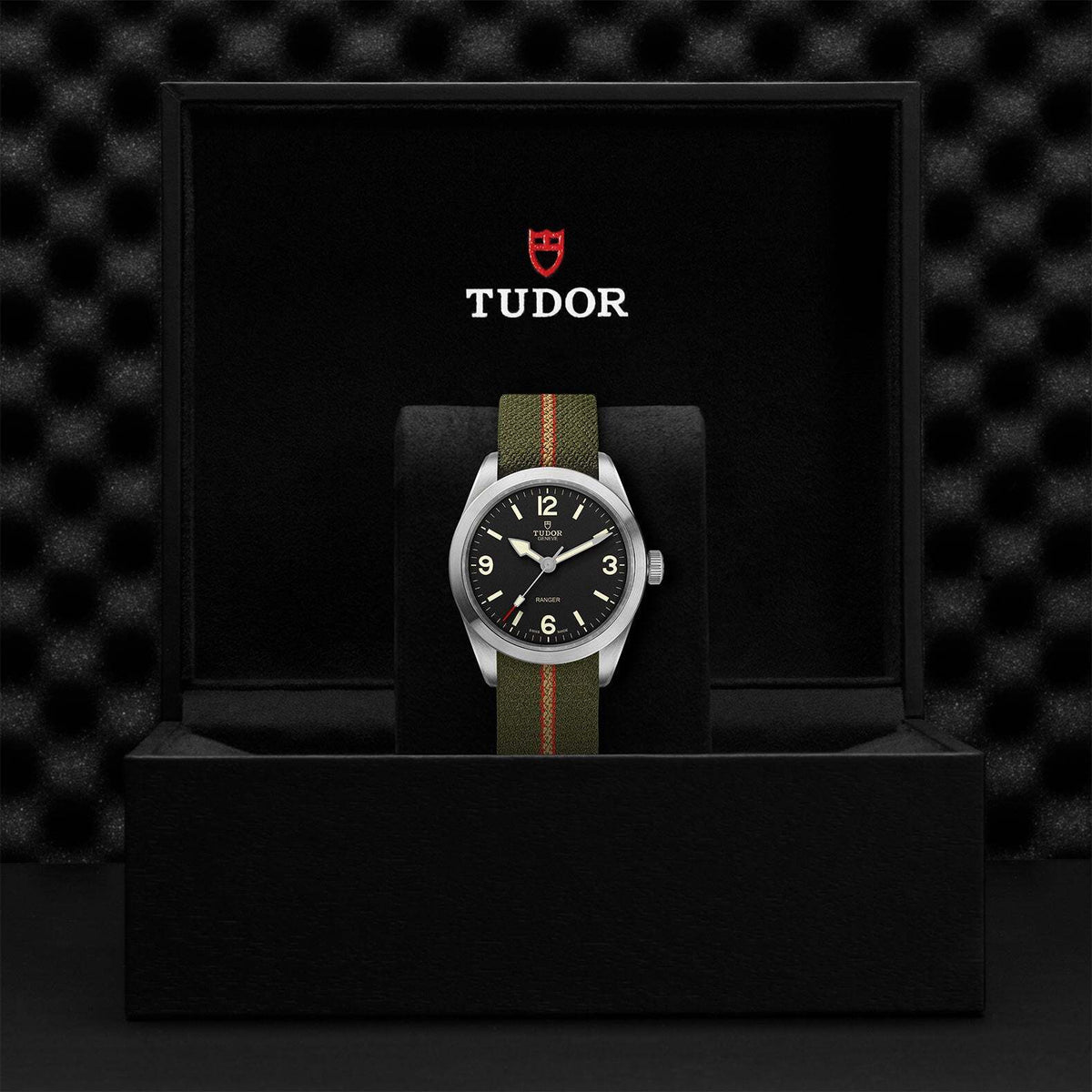 Video Thumbnail: 0003 9576 - Tudor Ranger M79950-0003