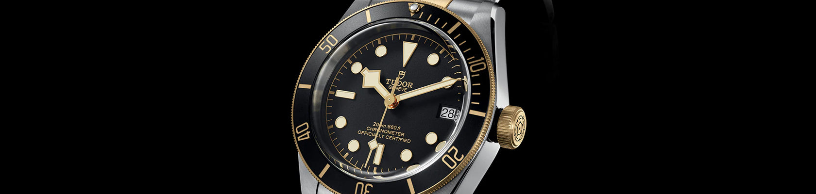 Tudor Black Bay S&G