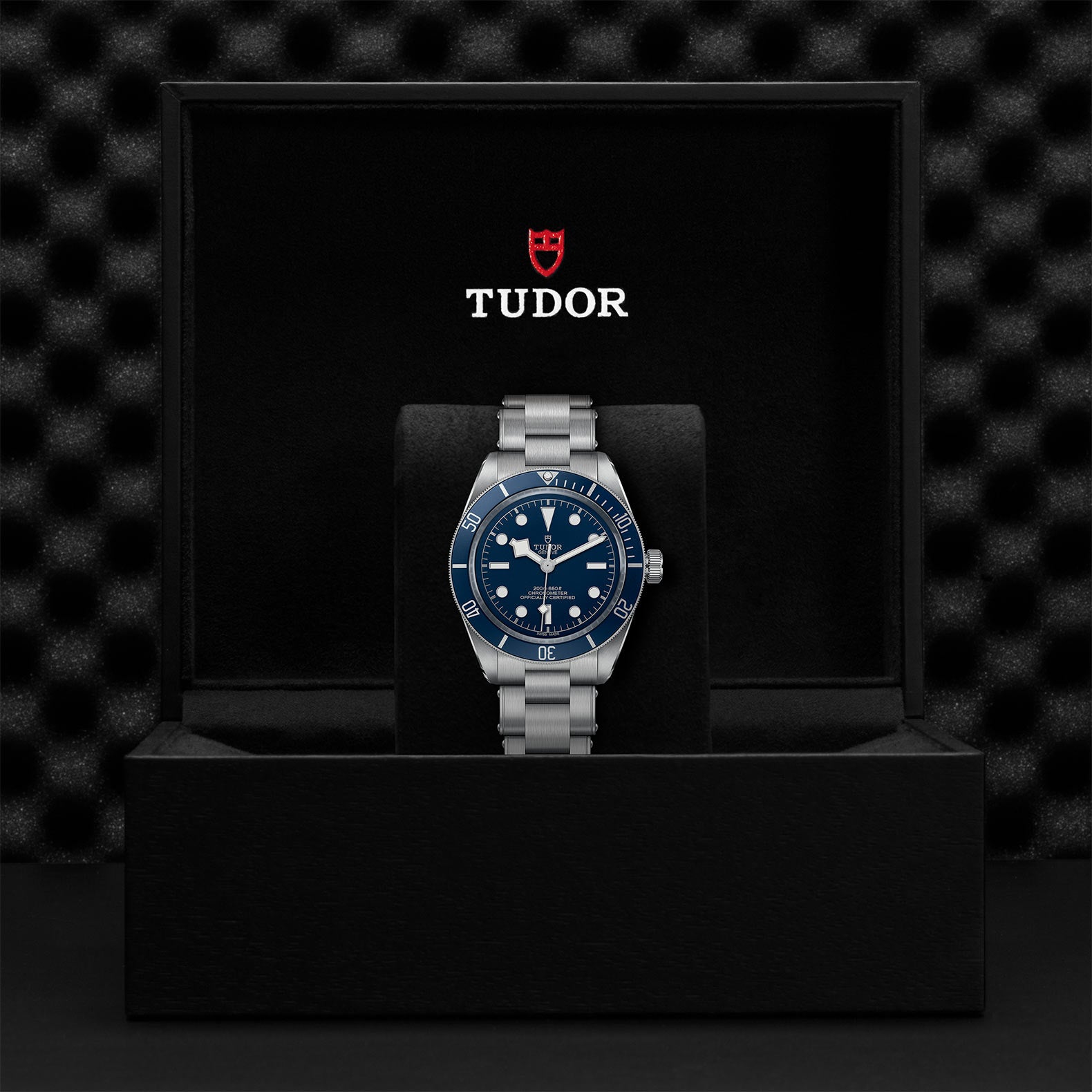 TUDOR BLACK BAY 58