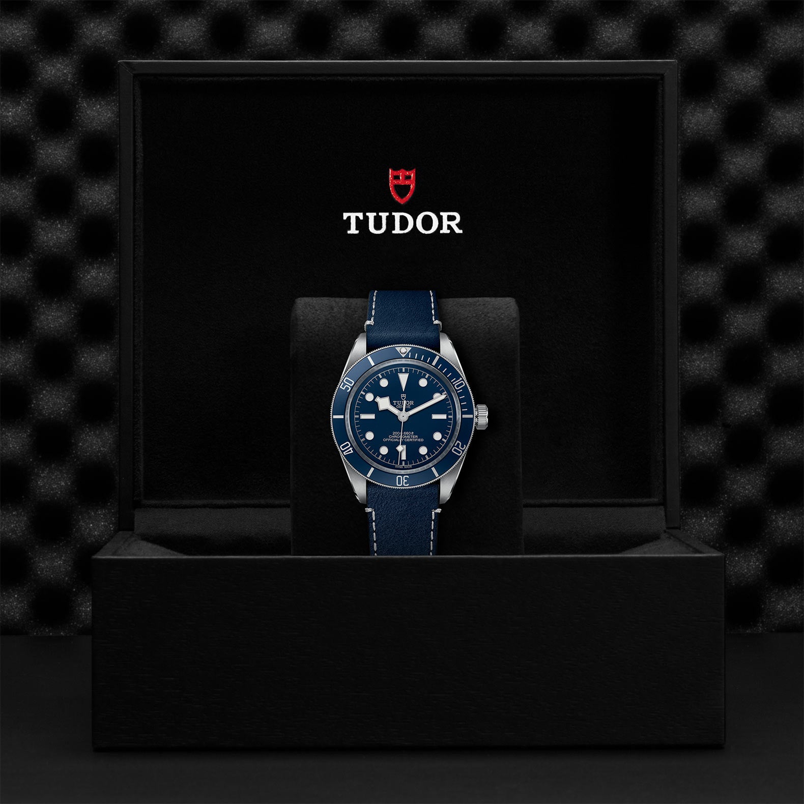 TUDOR BLACK BAY 58