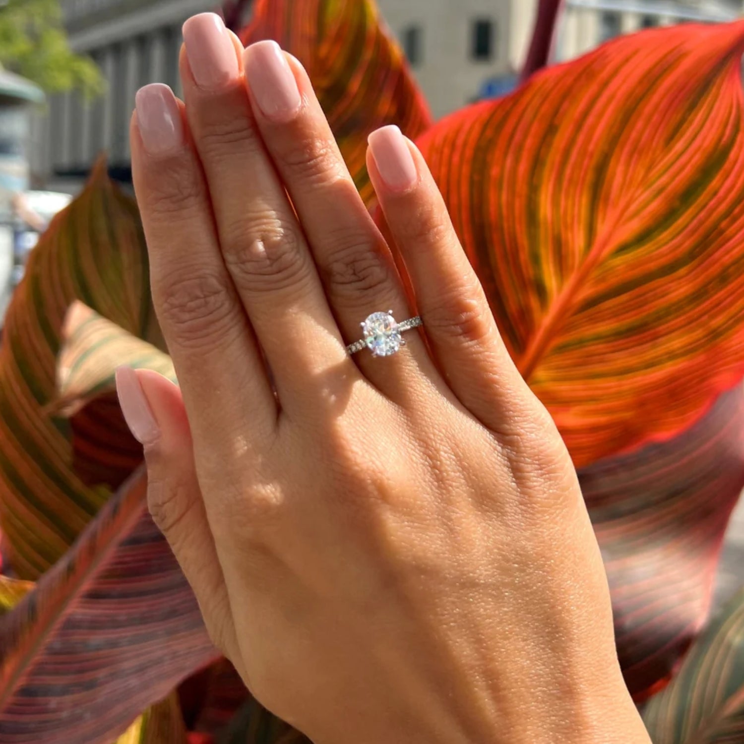 HOWARD Line Blair Diamond Oval Engagement Ring Howard Fine Jewellers