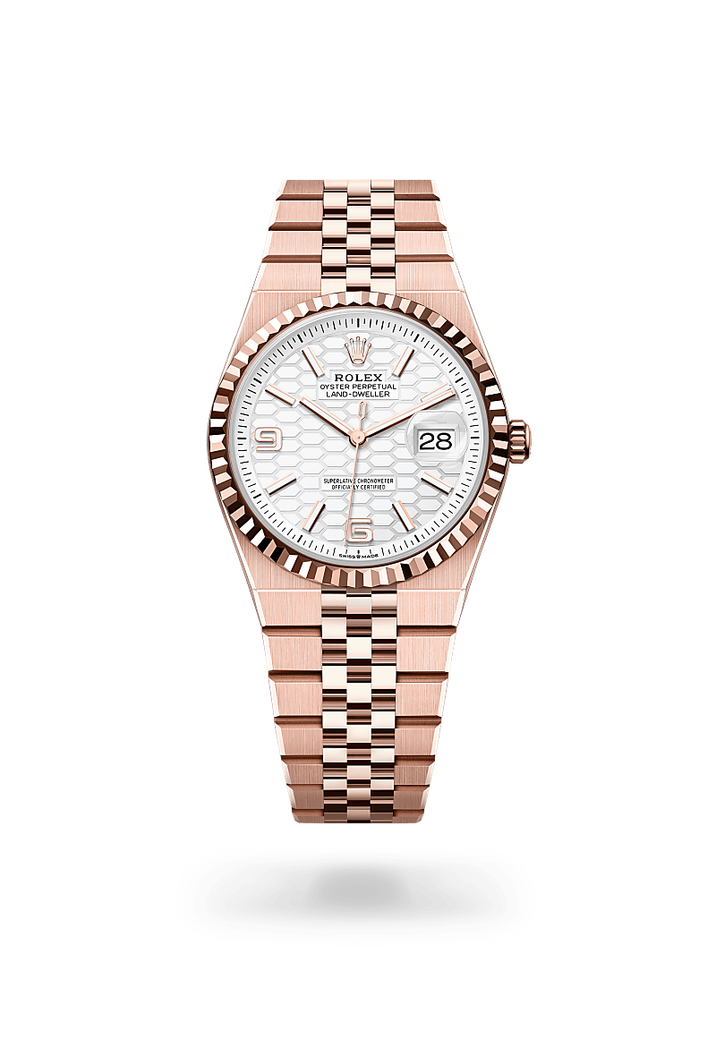 Rolex Land-Dweller 36 18 ct Everose gold, M127235-0001
