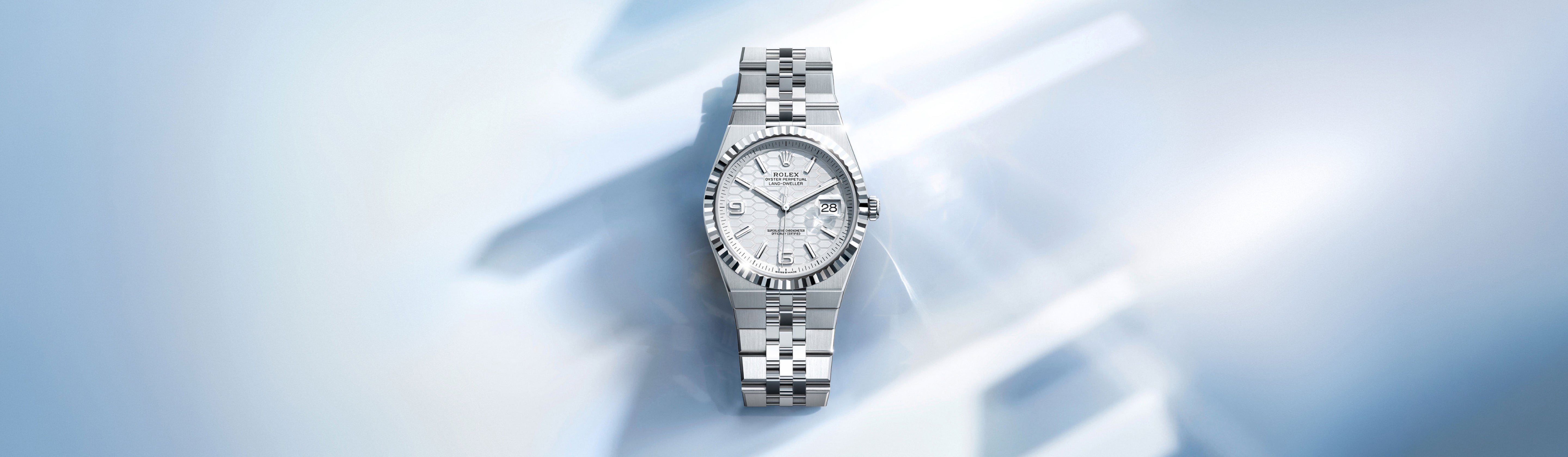 Depiction Pertaining to Rolex Land-Dweller