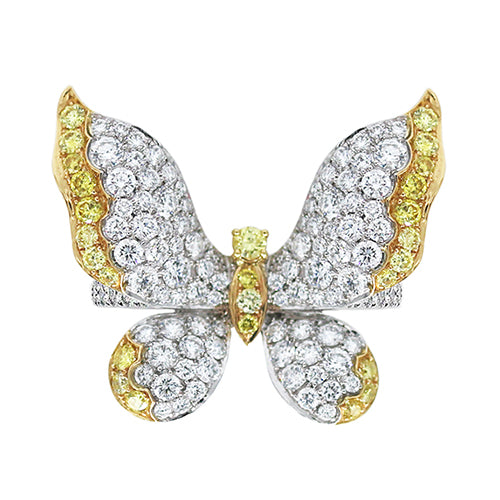 SCOTT WEST BUTTERFLY COLLECTION