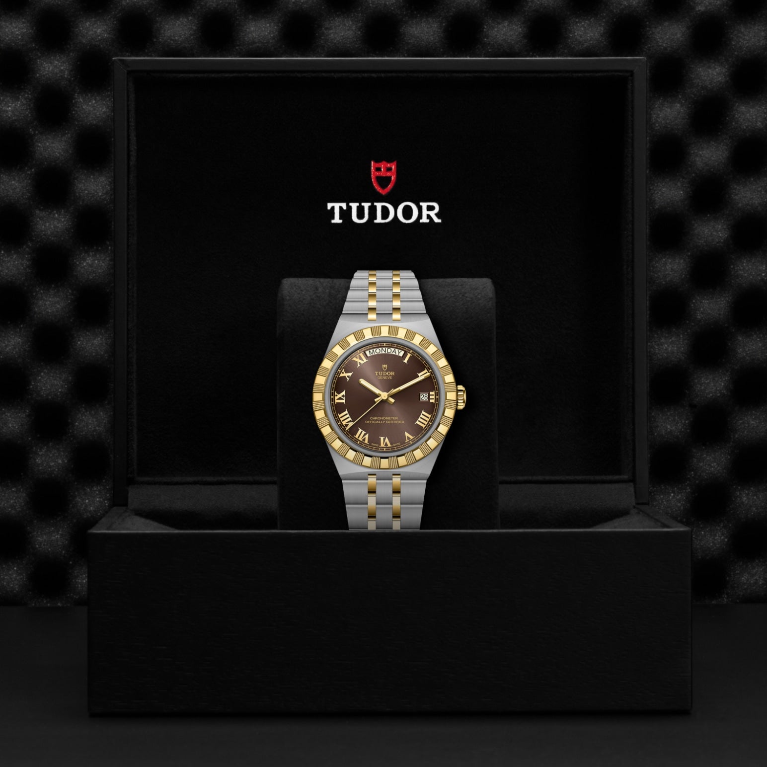 Video Thumbnail: Tudor 0001 31077084 6742 - Tudor Royal M2840d1a3-0001