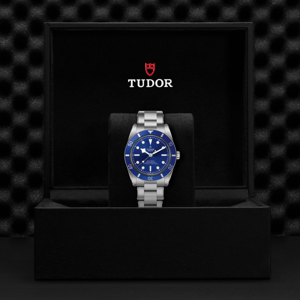 Video Thumbnail: Tudor 0001 4632 - Black Bay 54 M79000b-0001