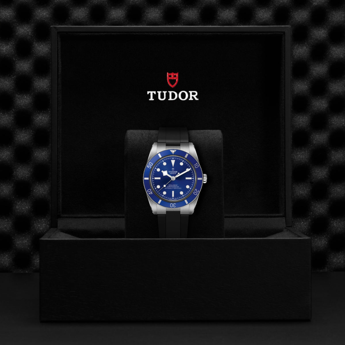 Video Thumbnail: Tudor 0002 1552 4031 8952 - Black Bay 54 M79000b-0002