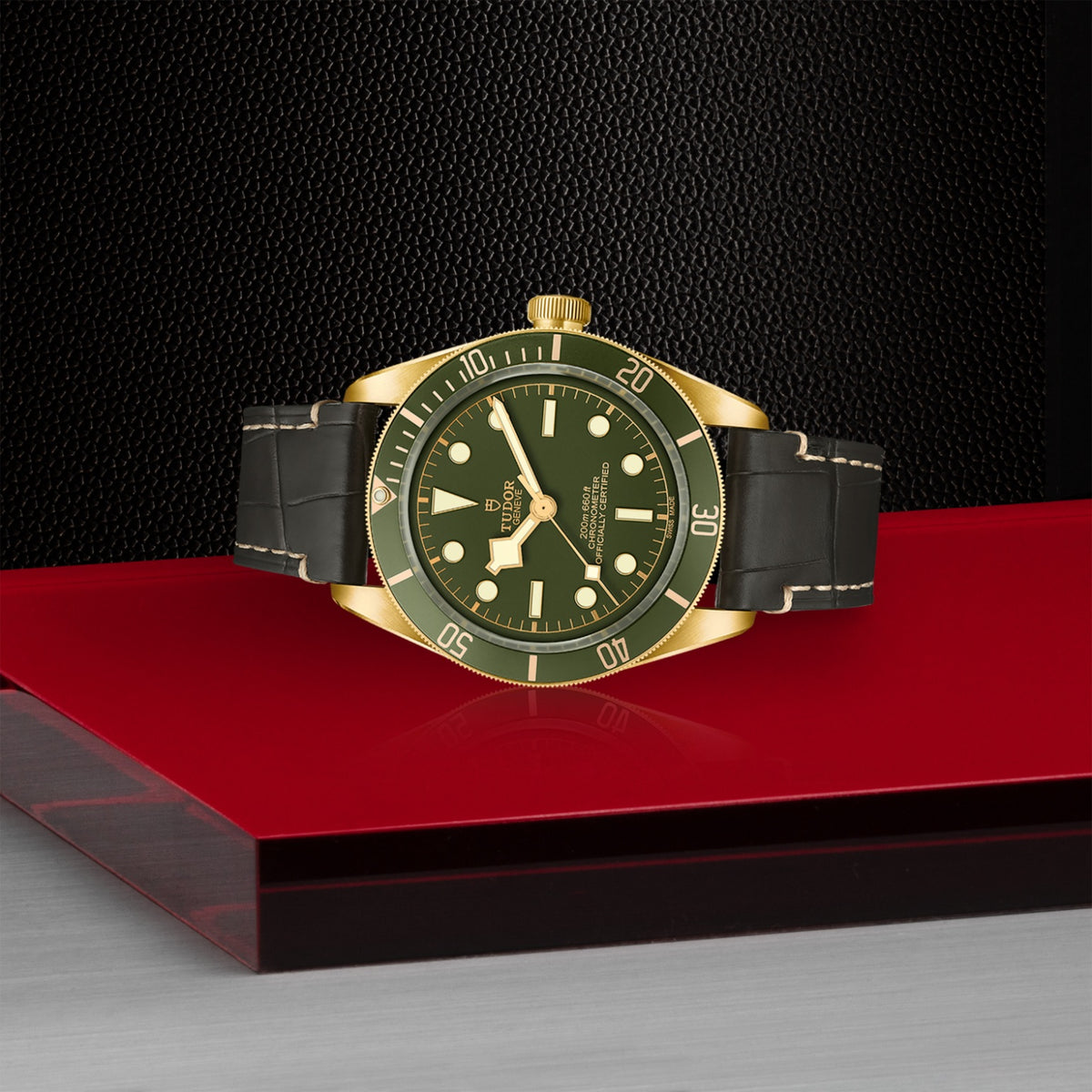 Video Thumbnail: Tudor 0001 - Tudor Black Bay Fifty-eight 18k, M79018v-0001