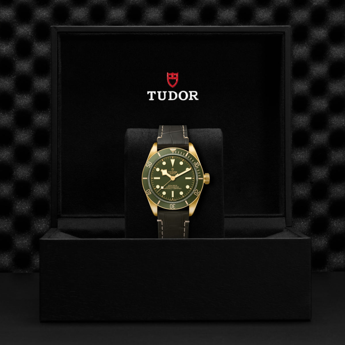 Video Thumbnail: Tudor 0001 4234 - Tudor Black Bay Fifty-eight 18k, M79018v-0001