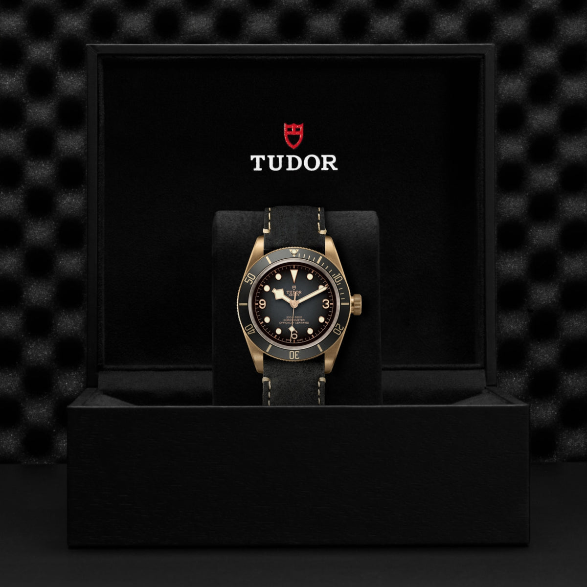 Video Thumbnail: Tudor 0001 4154 4706 - Tudor Black Bay Bronze M79250ba-0001