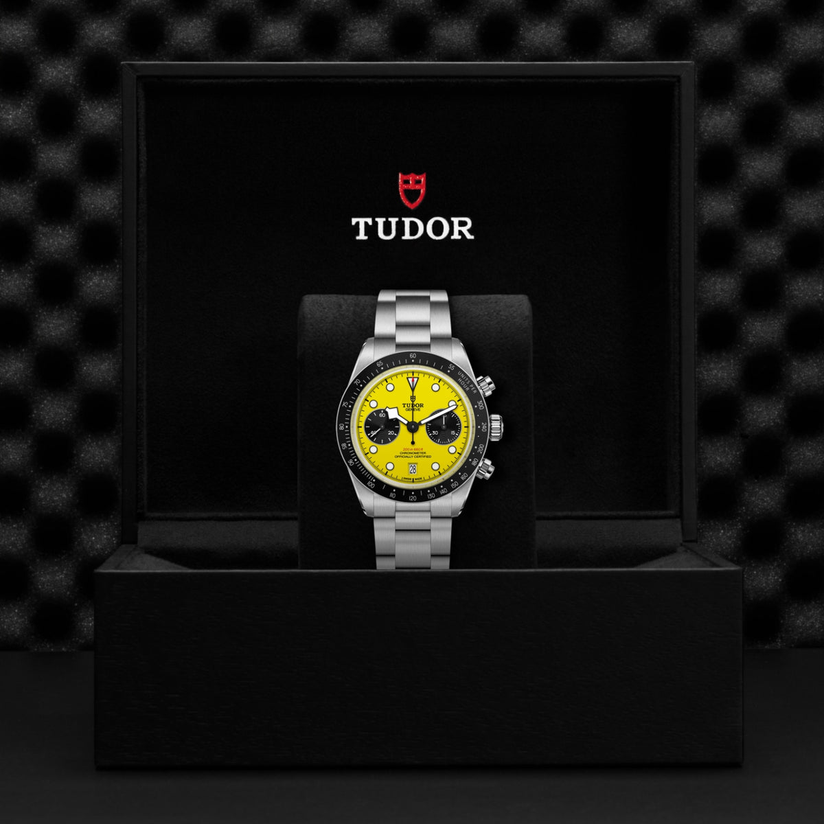 Video Thumbnail: Tudor 0001 4198 - Tudor Black Bay Chrono 39 M79310n-0001