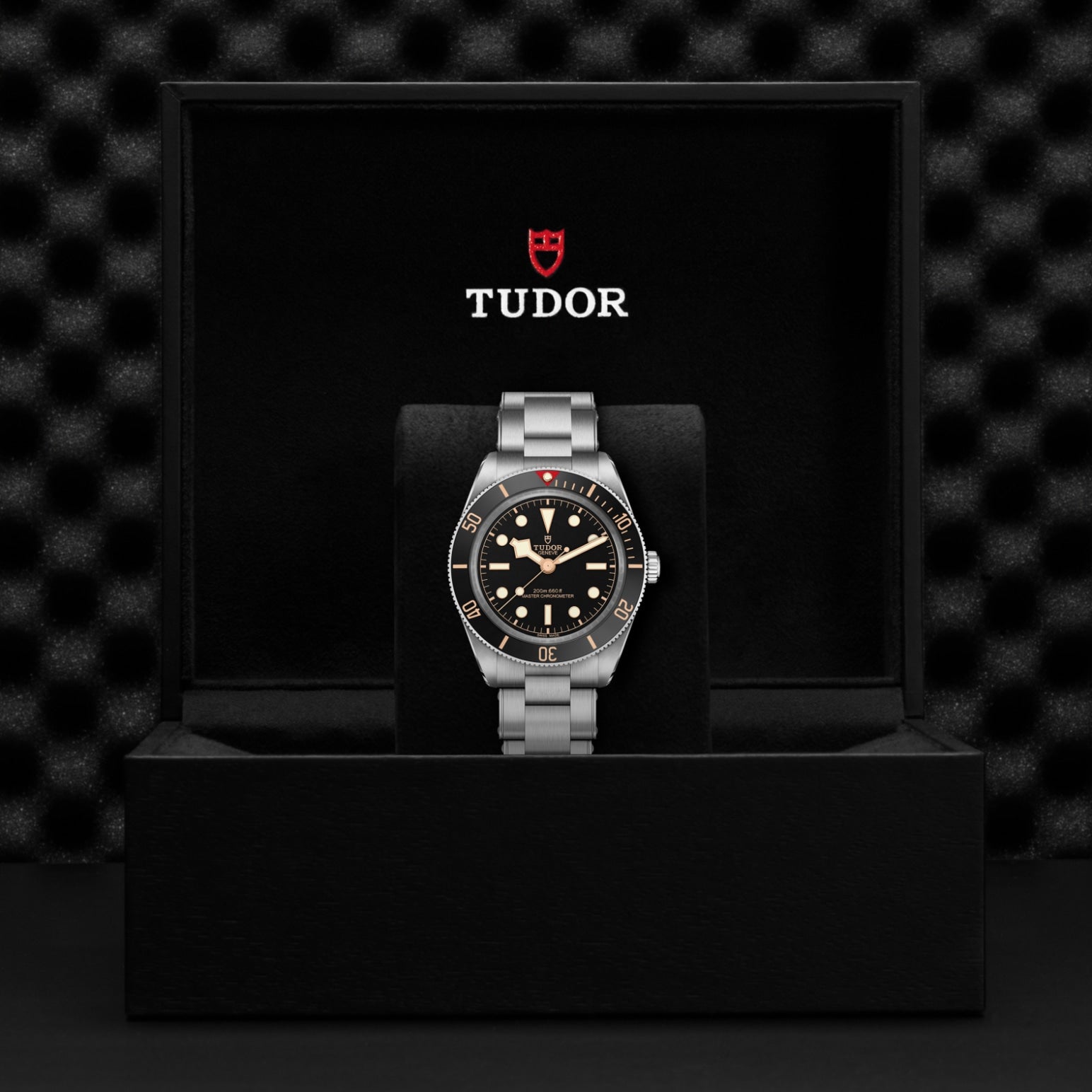 Video Thumbnail: Tudor 0002 1449 4925 - Black Bay 58 M7939a1a0nu-0002