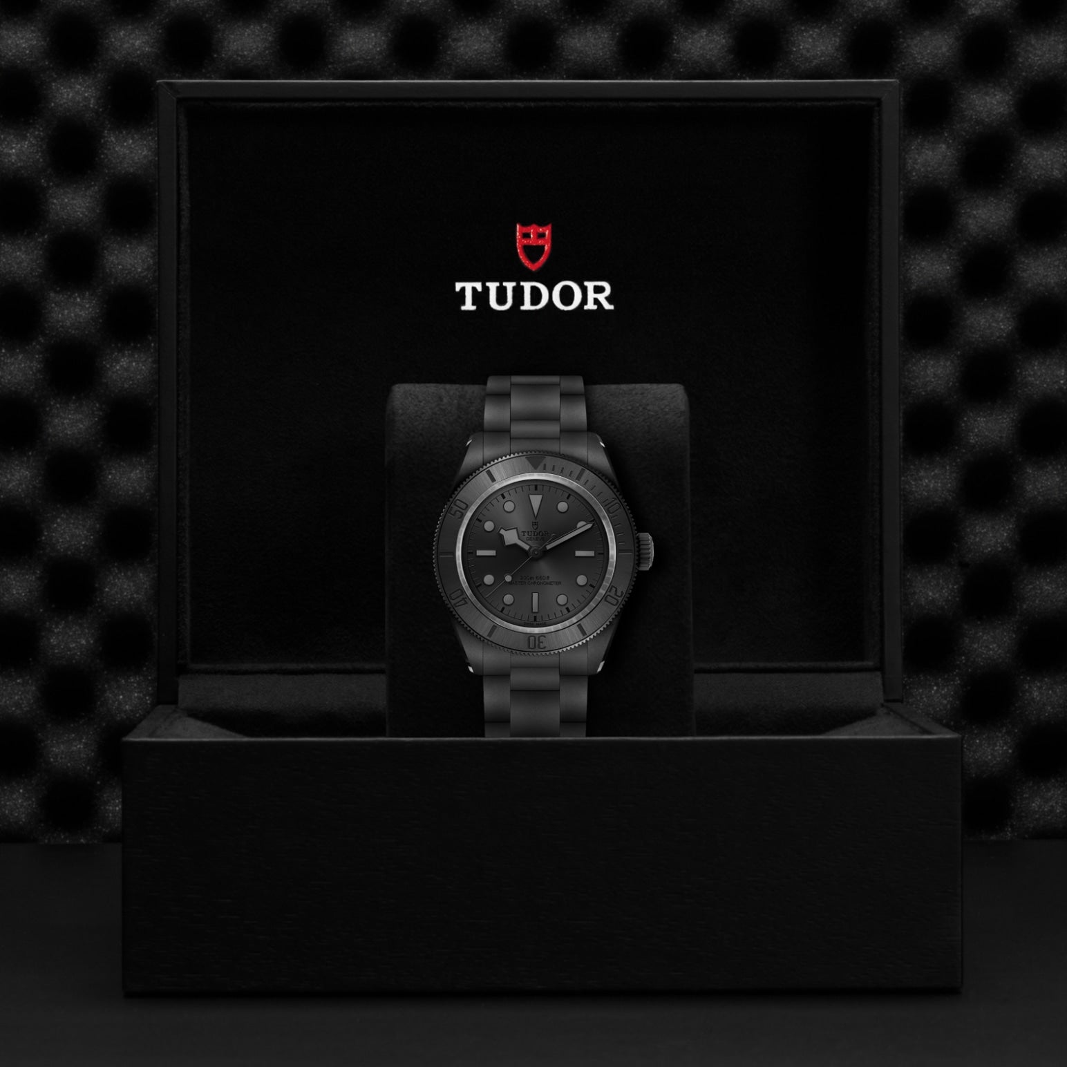 Video Thumbnail: Tudor 0001 - Black Bay Ceramic M7941a1acnu-0001