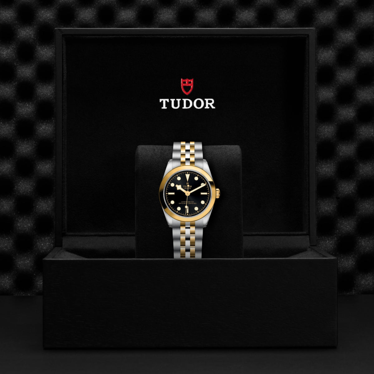 Video Thumbnail: Tudor 0001 4826 - Tudor Black Bay One 31 S&amp;g M79603-0001