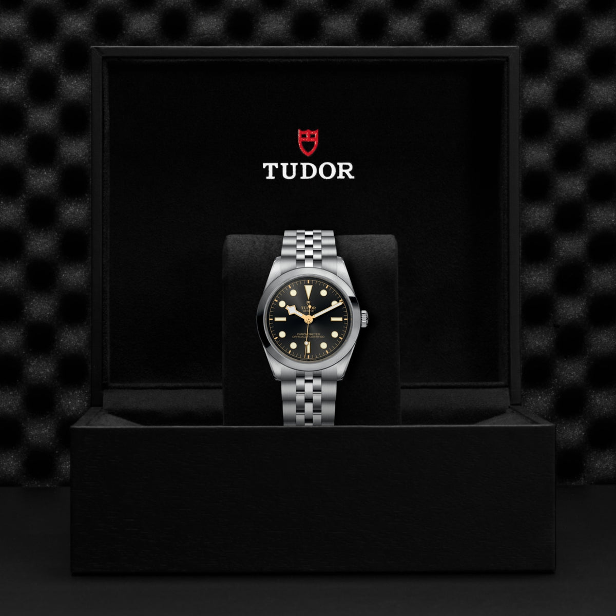 Video Thumbnail: Tudor 0001 8253 - Tudor Black Bay One 36 M79640-0001