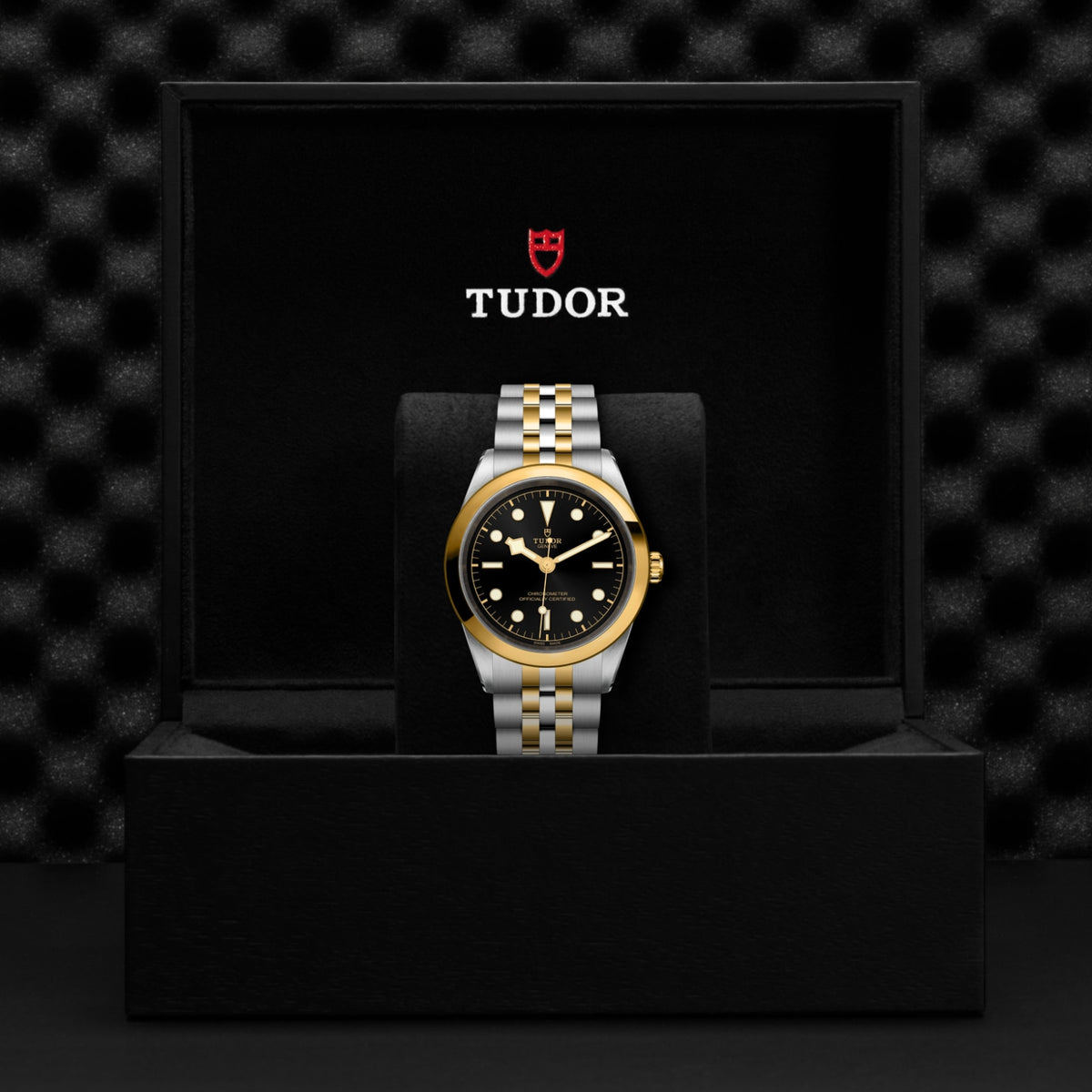 Video Thumbnail: Tudor 0001 9824 - Tudor Black Bay One 41 S&amp;g M79683-0002