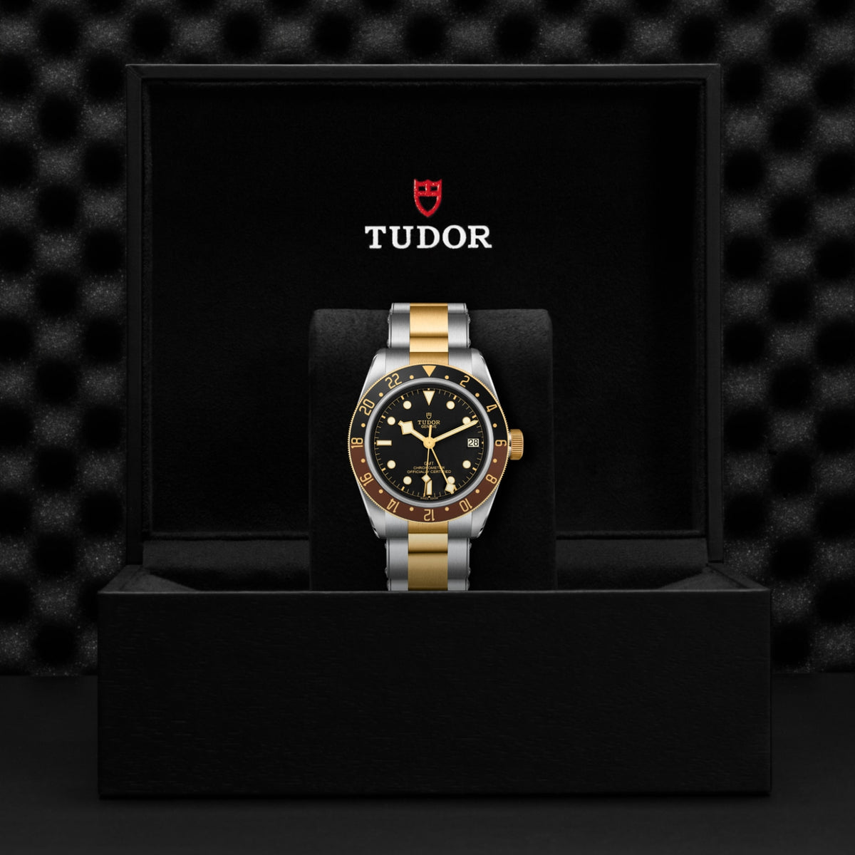 Video Thumbnail: Tudor 0001 4974 - Tudor Black Bay GMT S&amp;g, M79833mn-0001