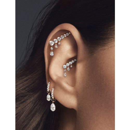 Earrings like 2025 maria tash