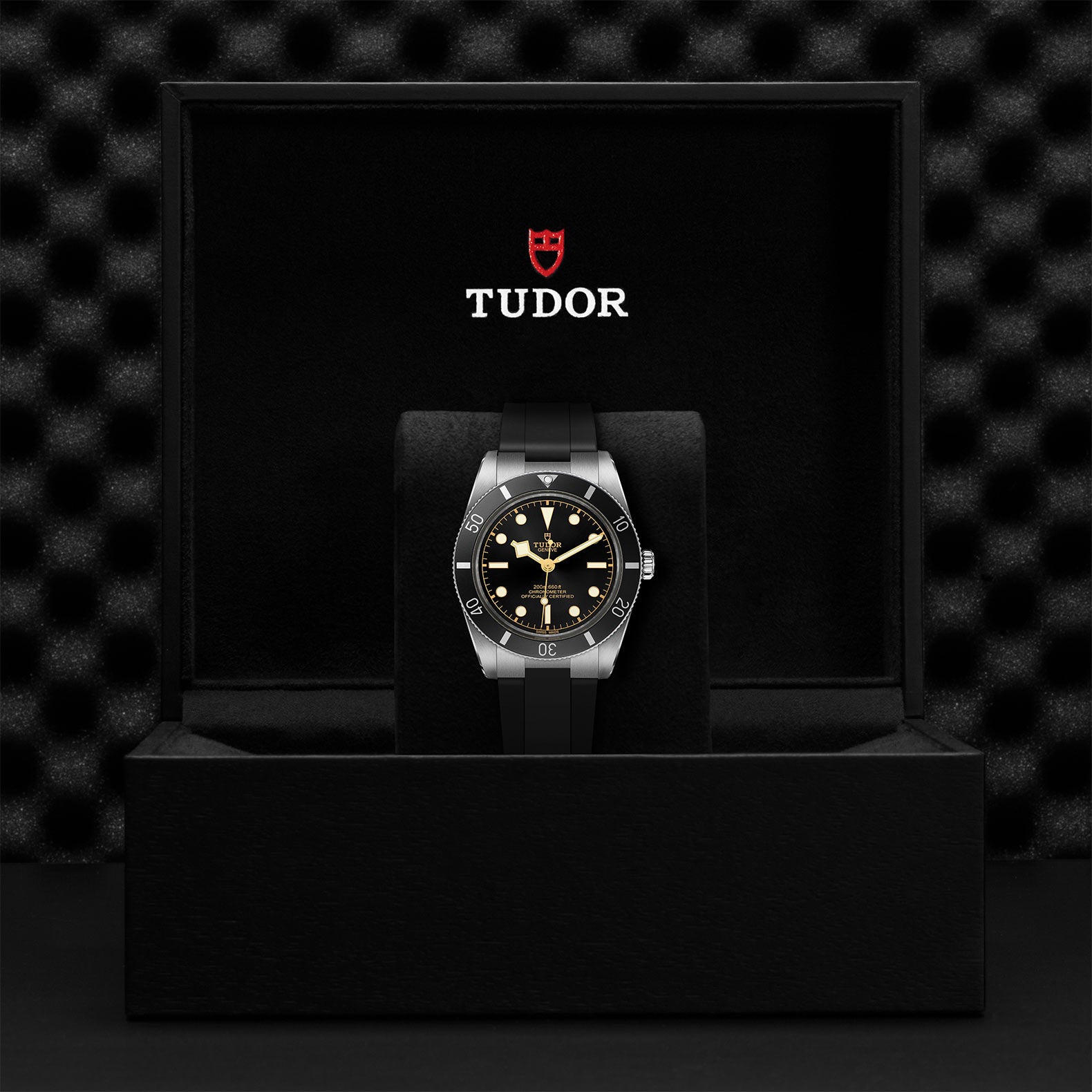 TUDOR BLACK BAY 54