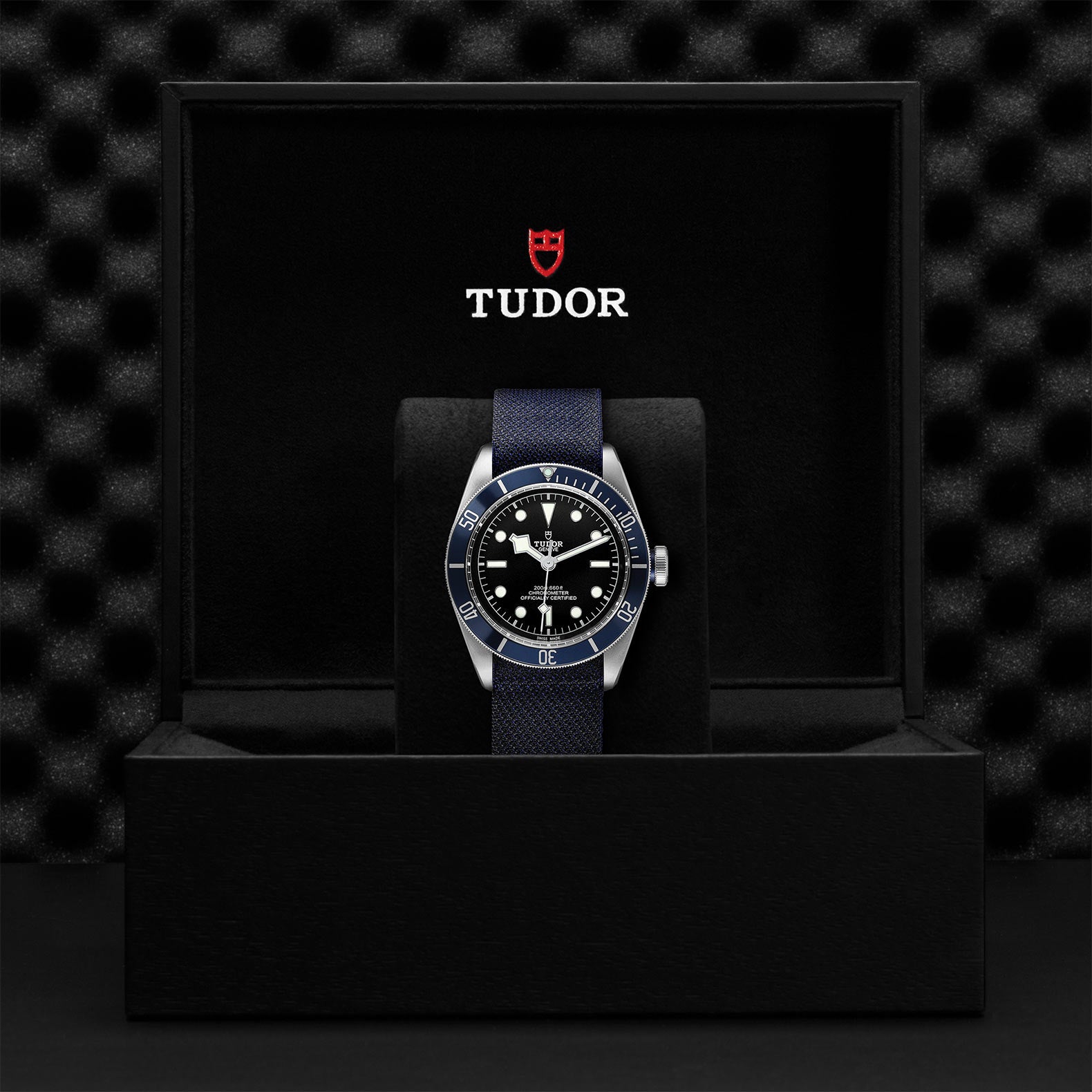 TUDOR BLACK BAY