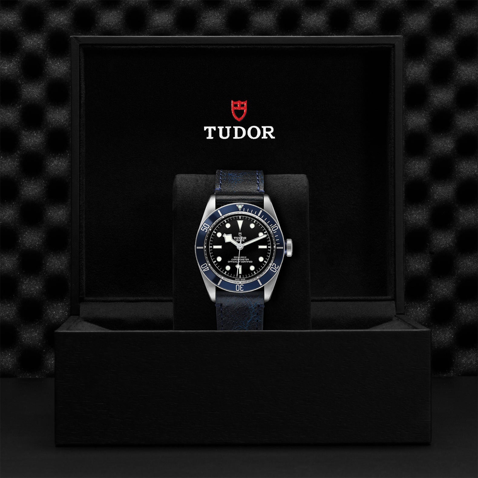 TUDOR BLACK BAY