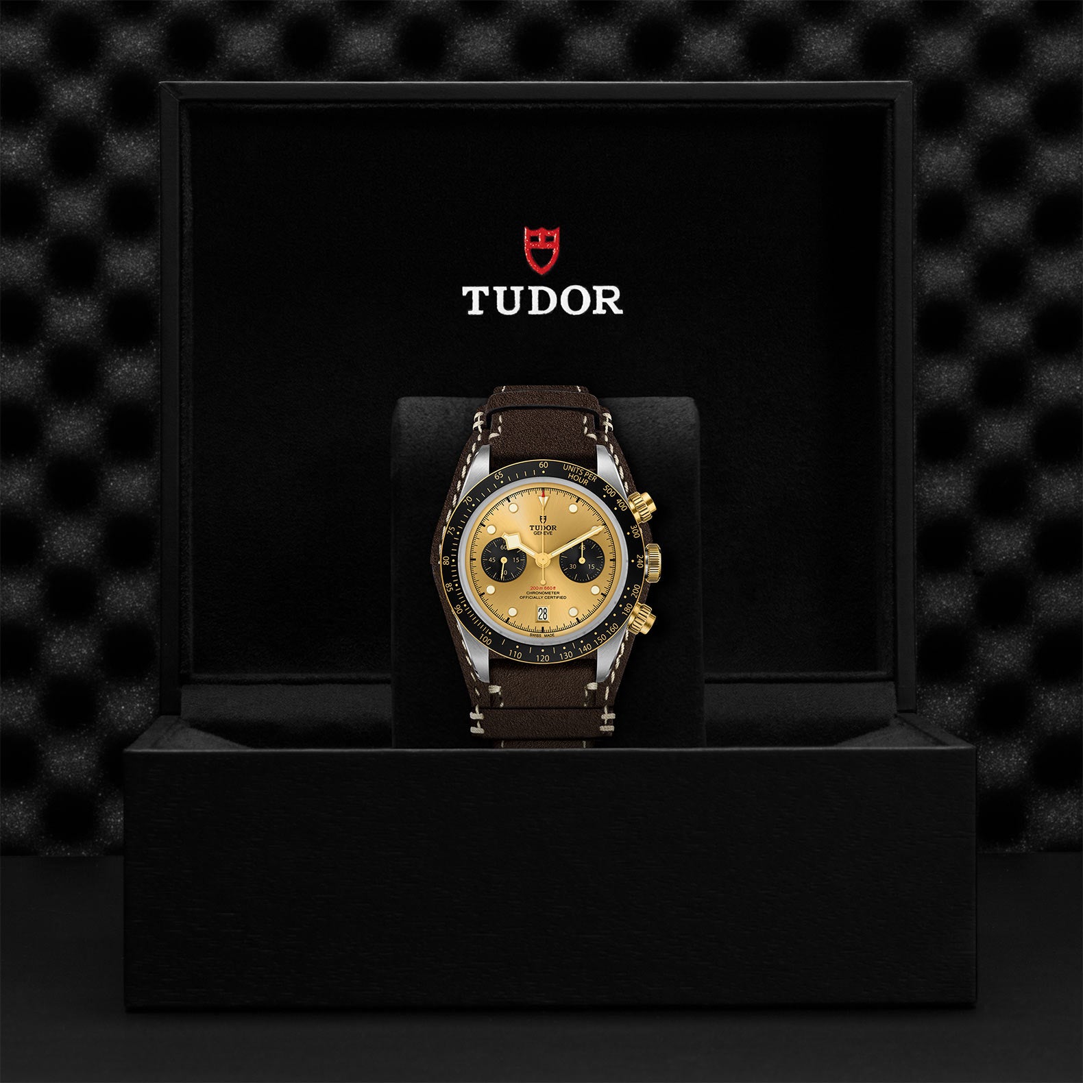 TUDOR BLACK BAY CHRONO S&G