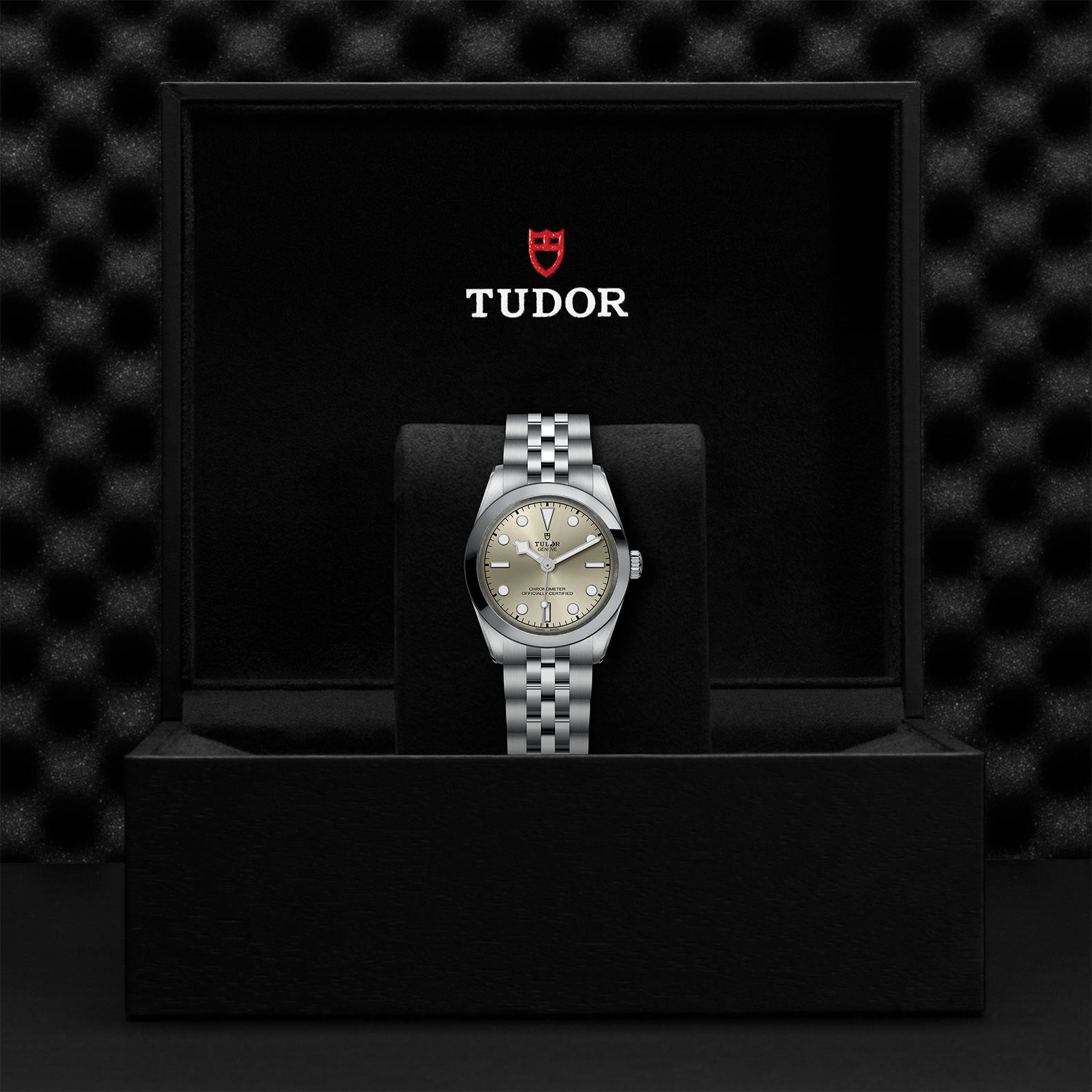 TUDOR BLACK BAY 31