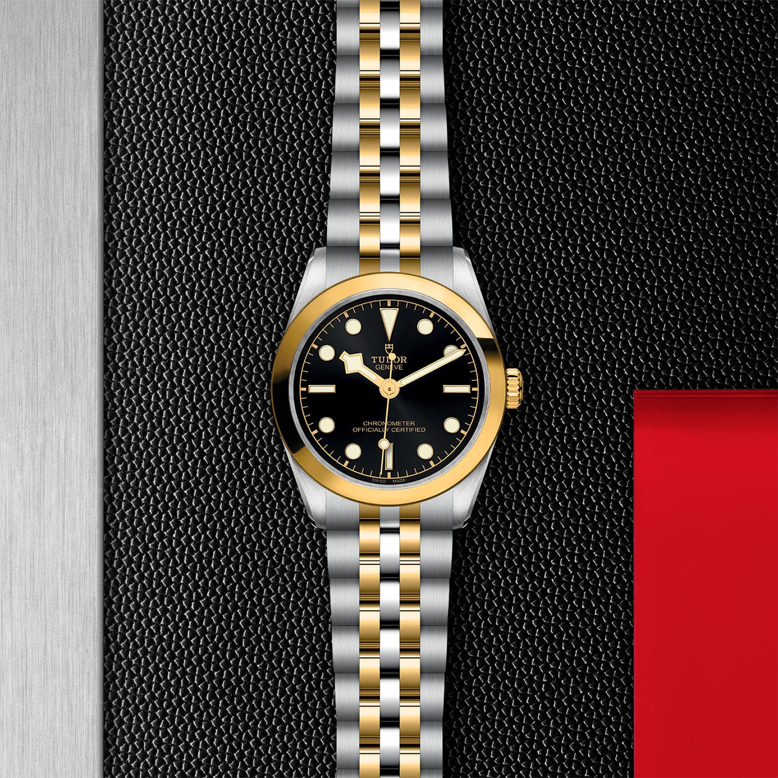 TUDOR BLACK BAY 31 S&G