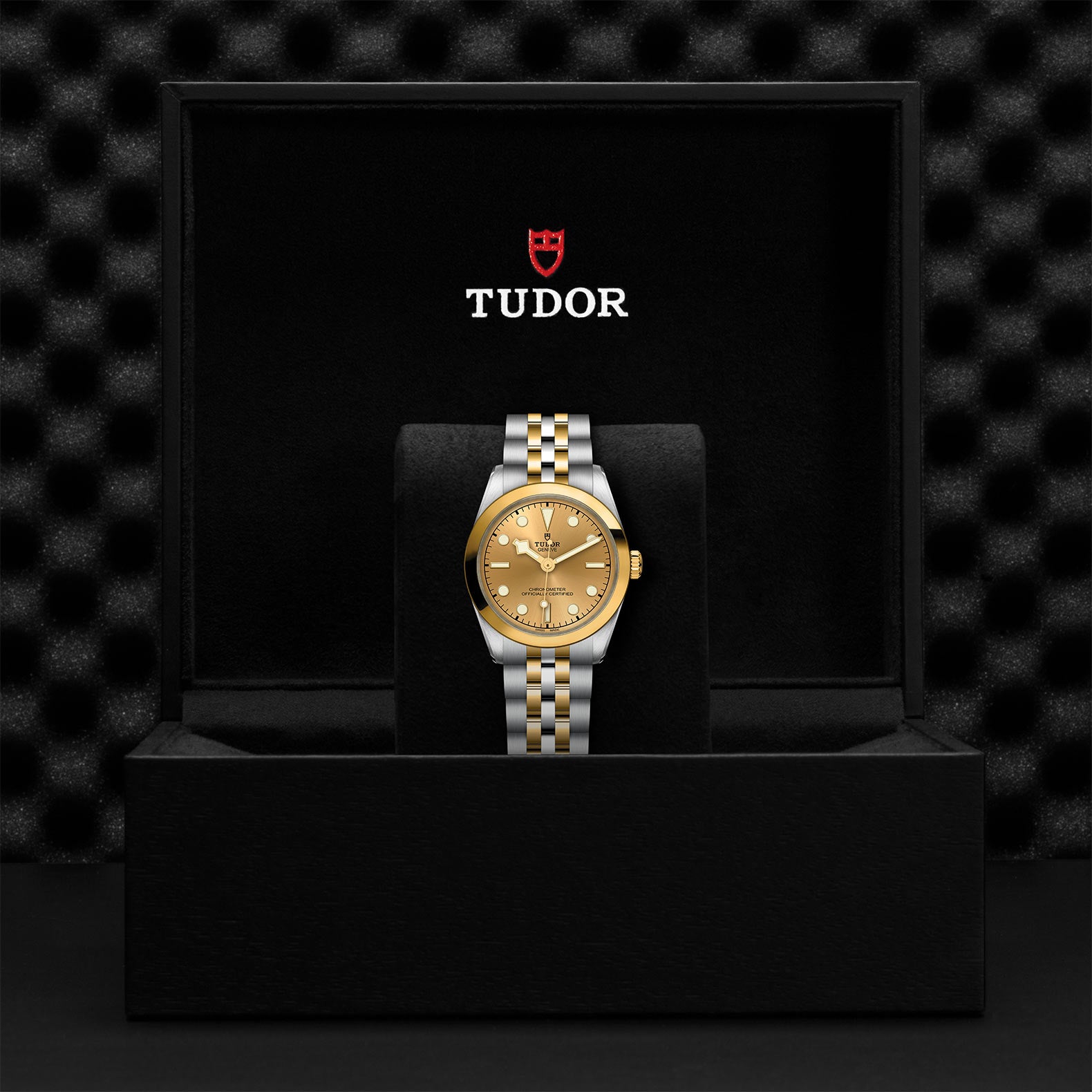 TUDOR BLACK BAY 31 S&G