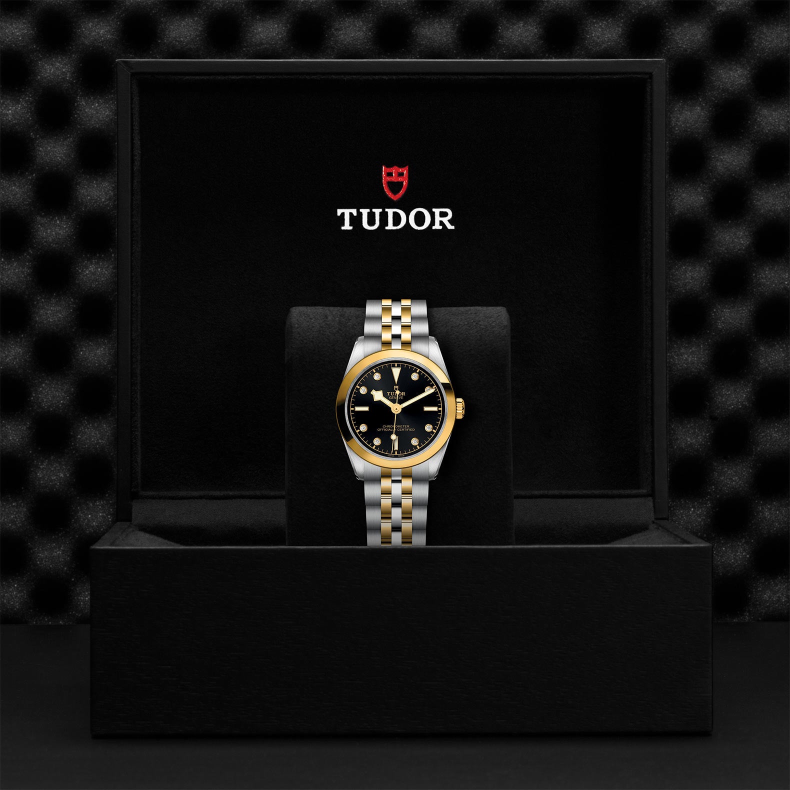 TUDOR BLACK BAY 31 S&G