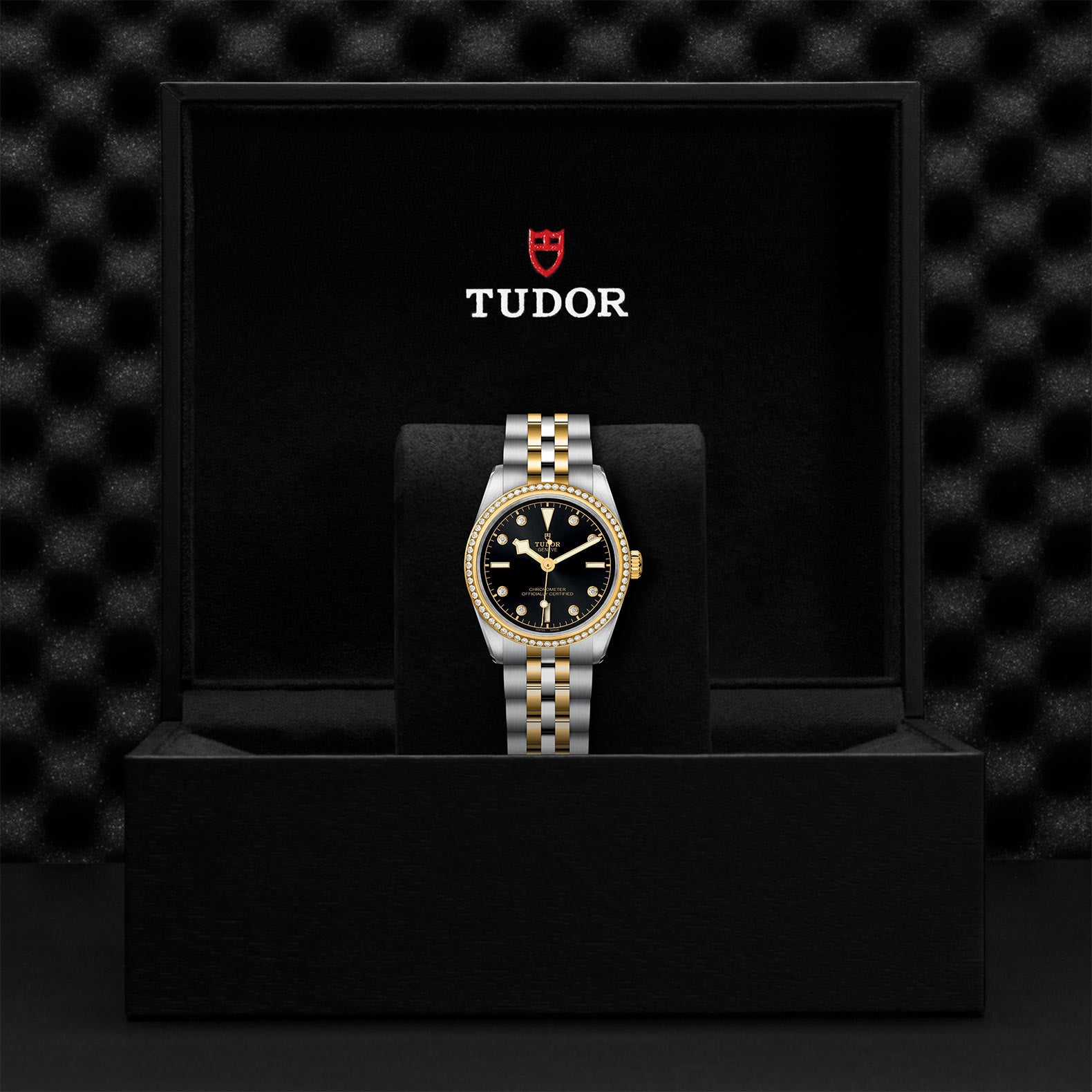 TUDOR BLACK BAY 31 S&G