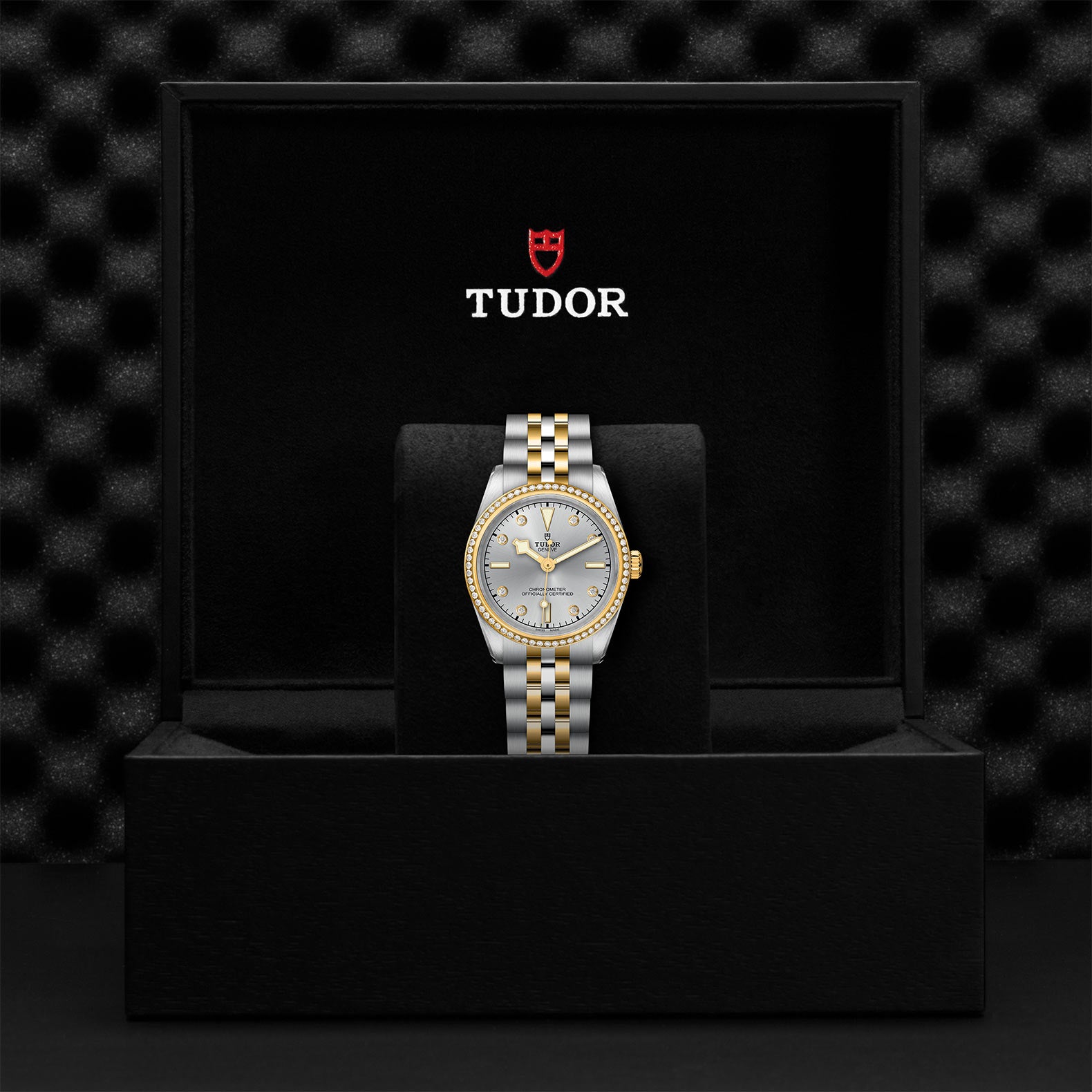 TUDOR BLACK BAY 31 S&G