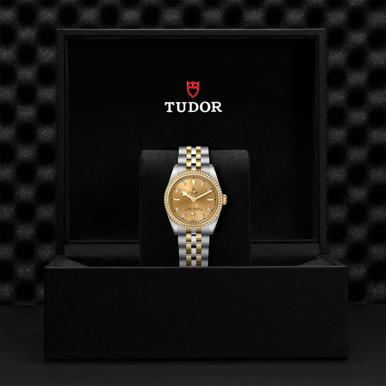 TUDOR BLACK BAY 31 S&G