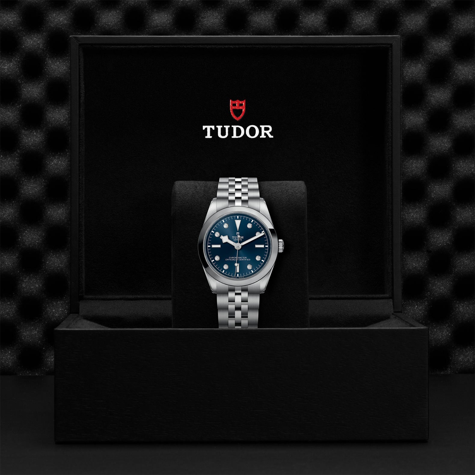 TUDOR BLACK BAY 36