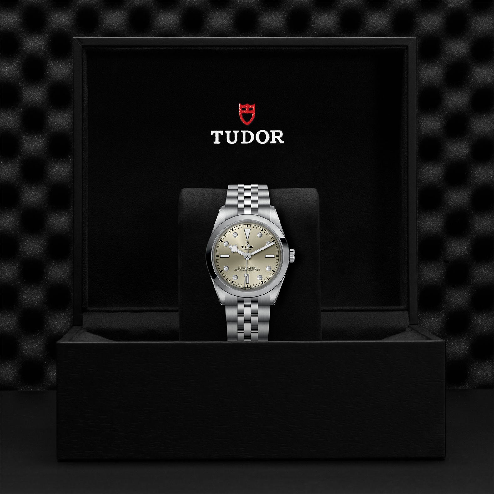 TUDOR BLACK BAY 36