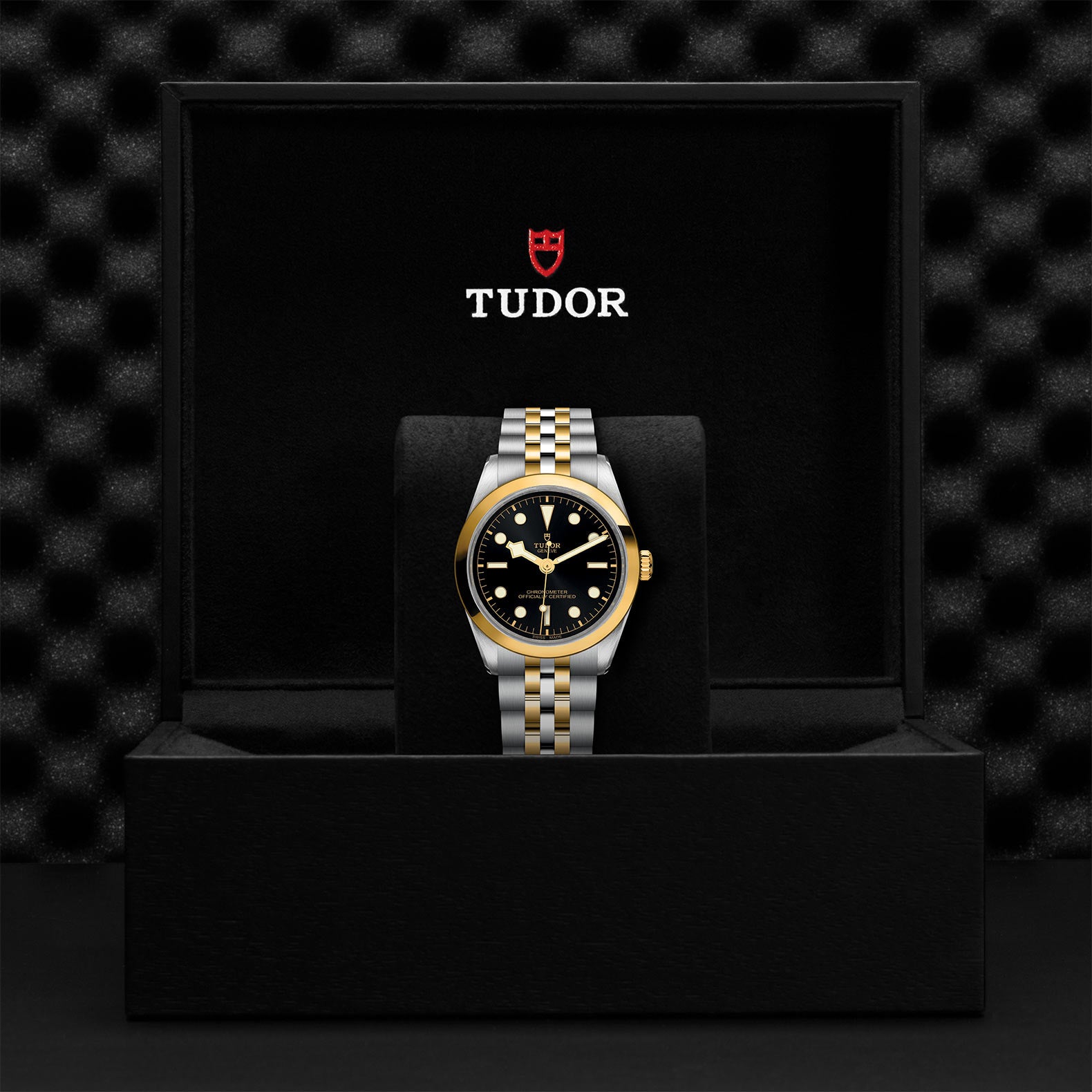 TUDOR BLACK BAY 36 S&G