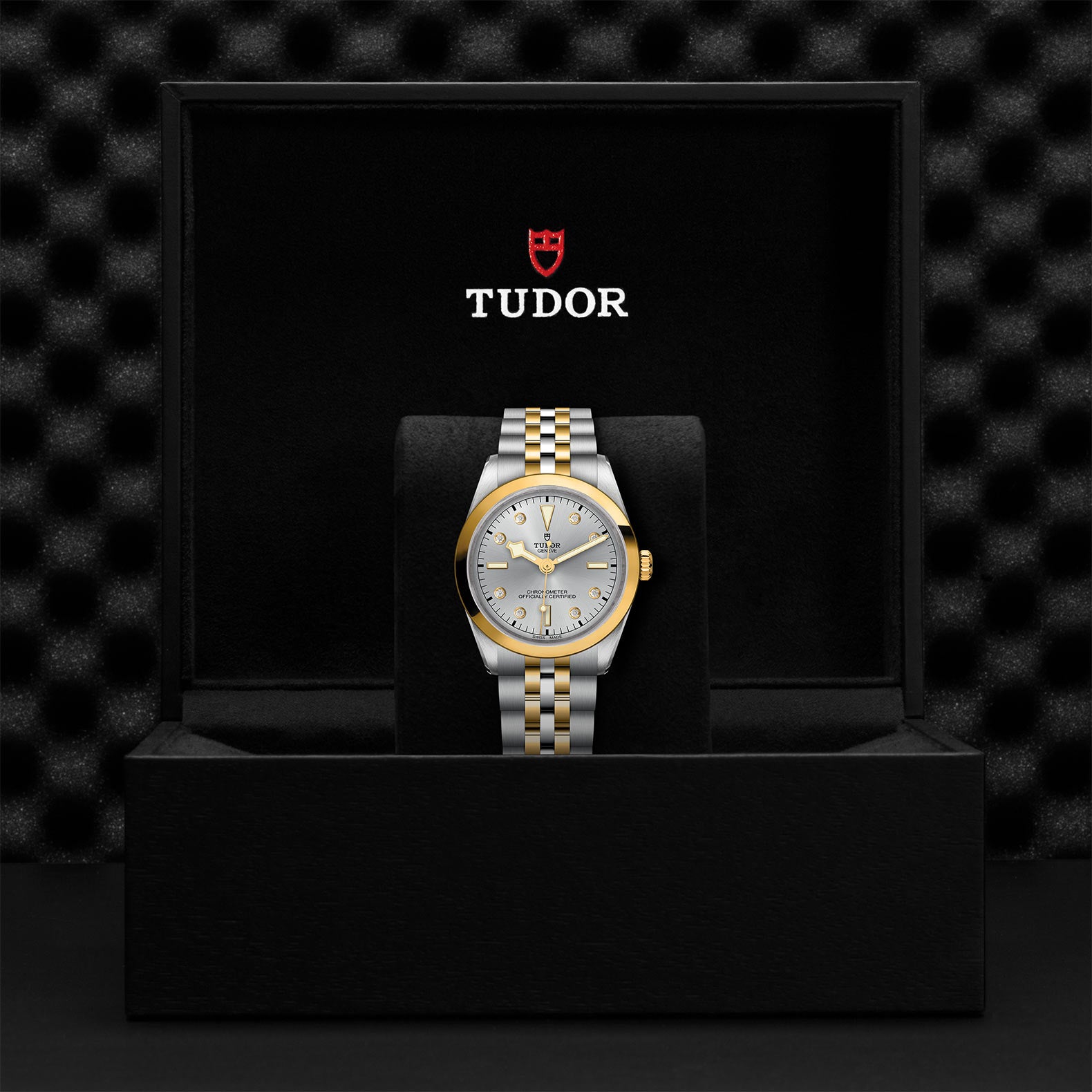 TUDOR BLACK BAY 36 S&G