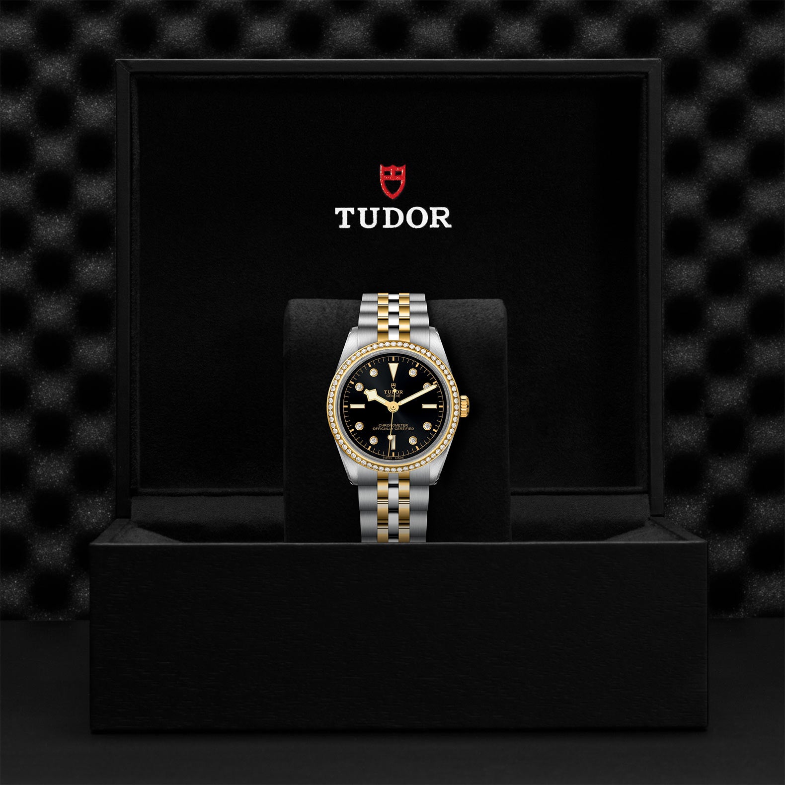 TUDOR BLACK BAY 36 S&G