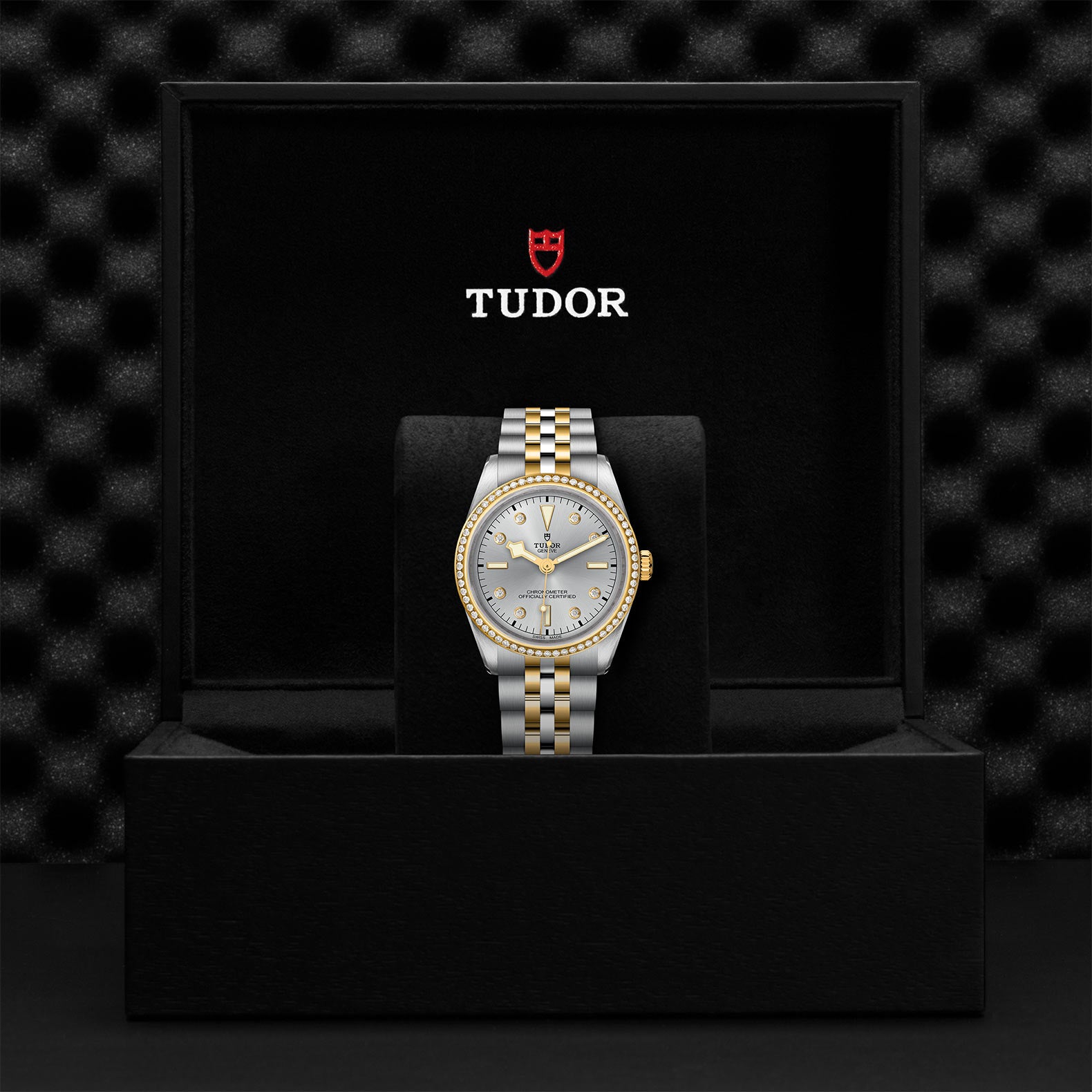 TUDOR BLACK BAY 36 S&G