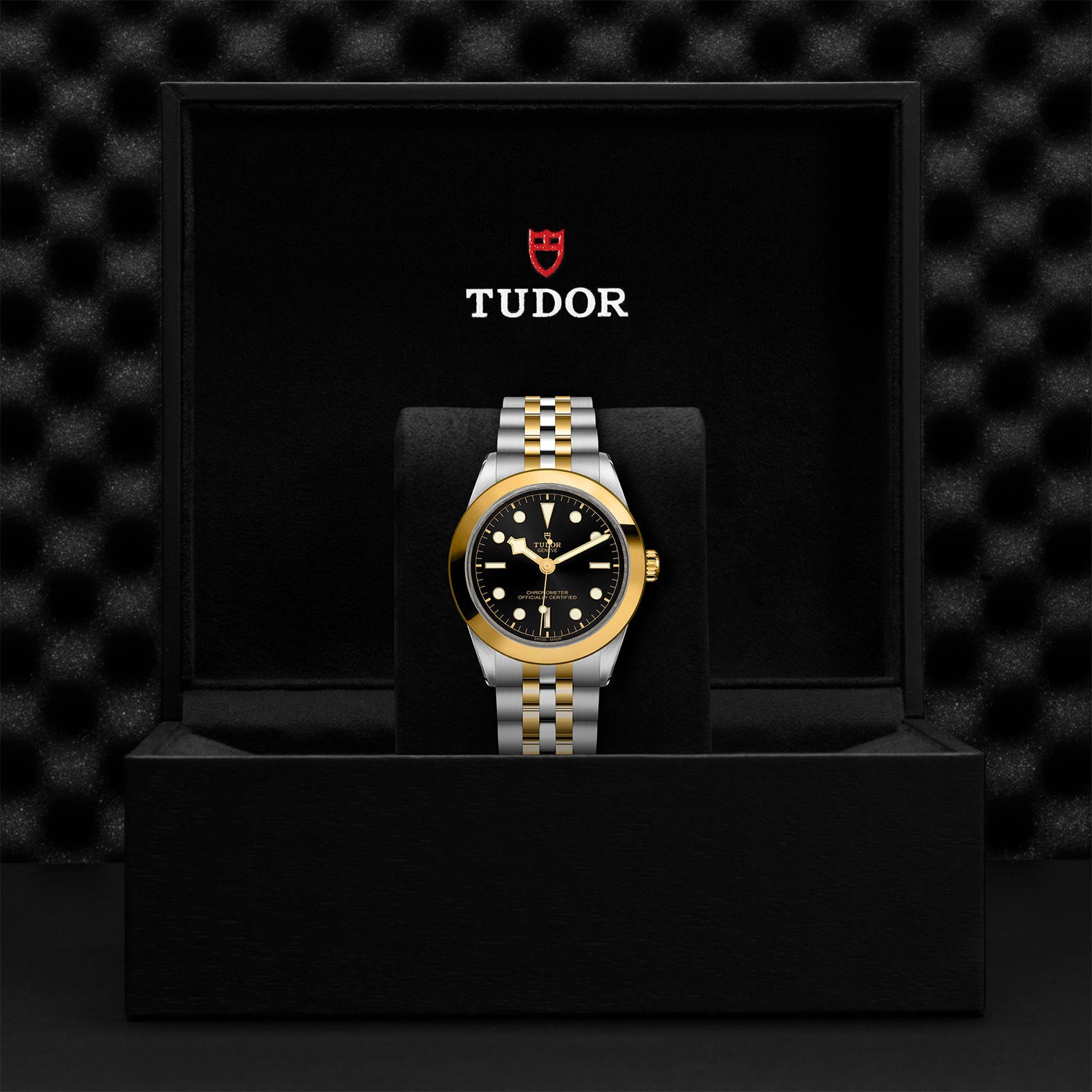 TUDOR BLACK BAY 39 S&G