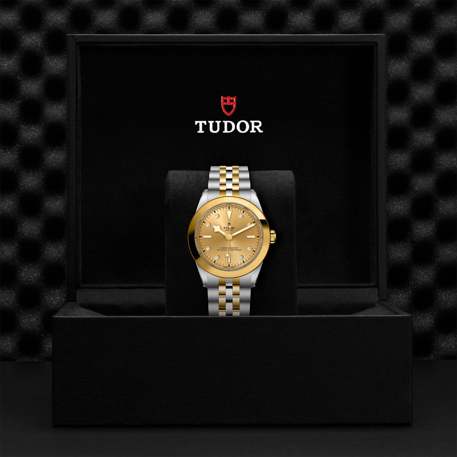 TUDOR BLACK BAY 39 S&G