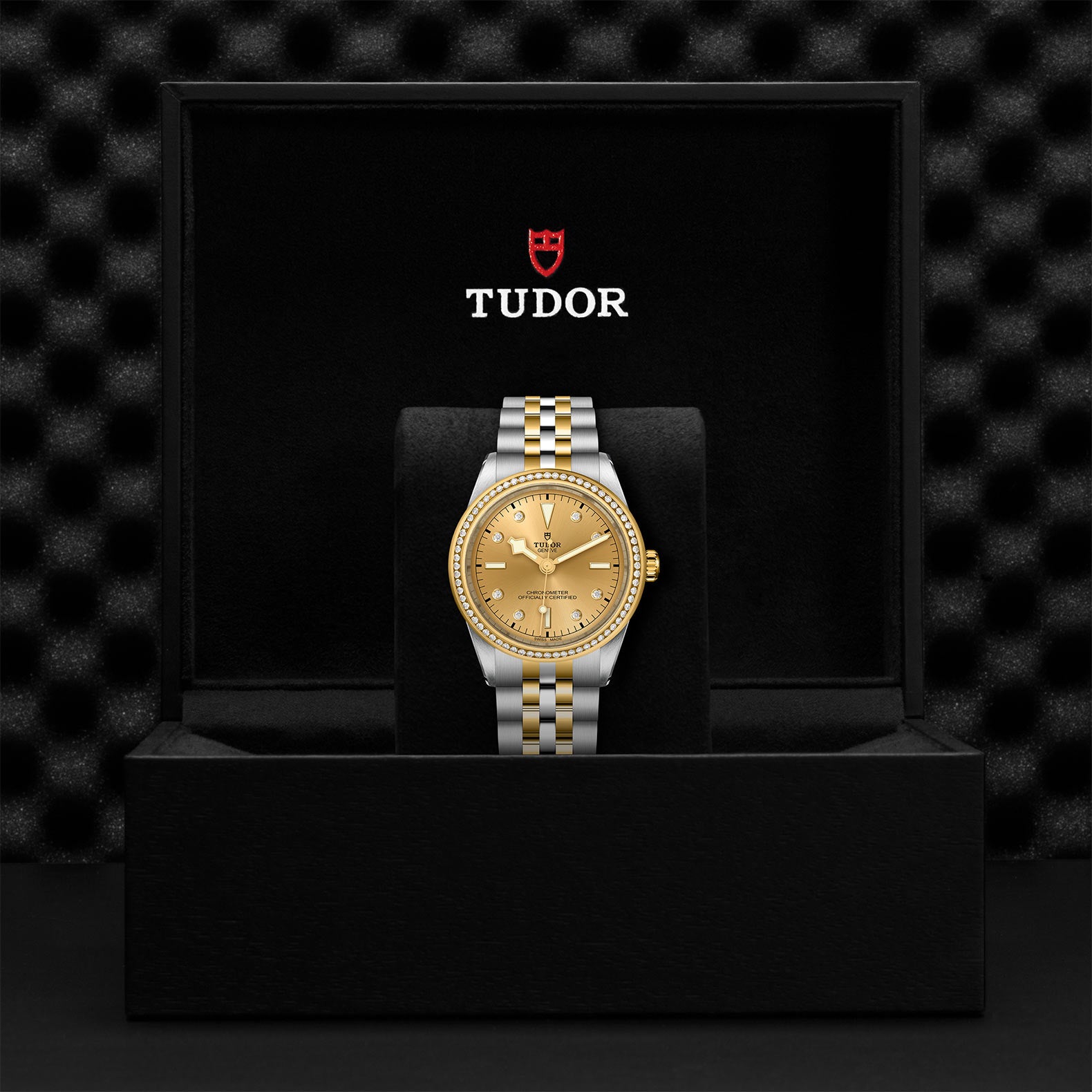 TUDOR BLACK BAY 39 S&G