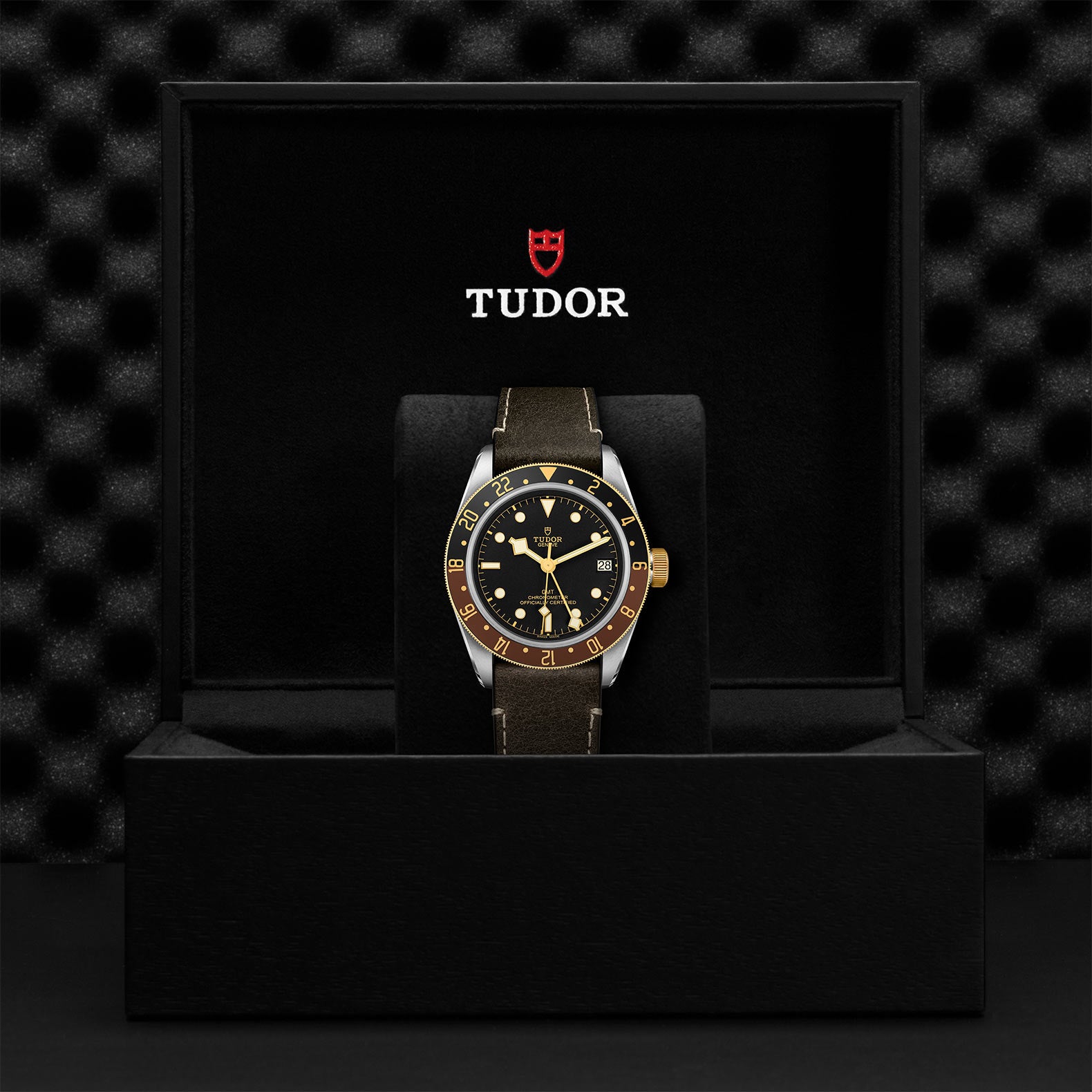 TUDOR BLACK BAY GMT S&G